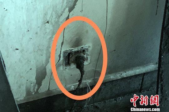 留在插座上的插头-瓦力塔智能充电桩